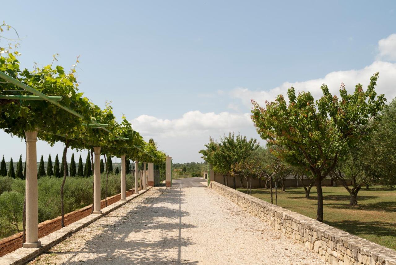 Villa Albina & Domenica Zadar Buitenkant foto