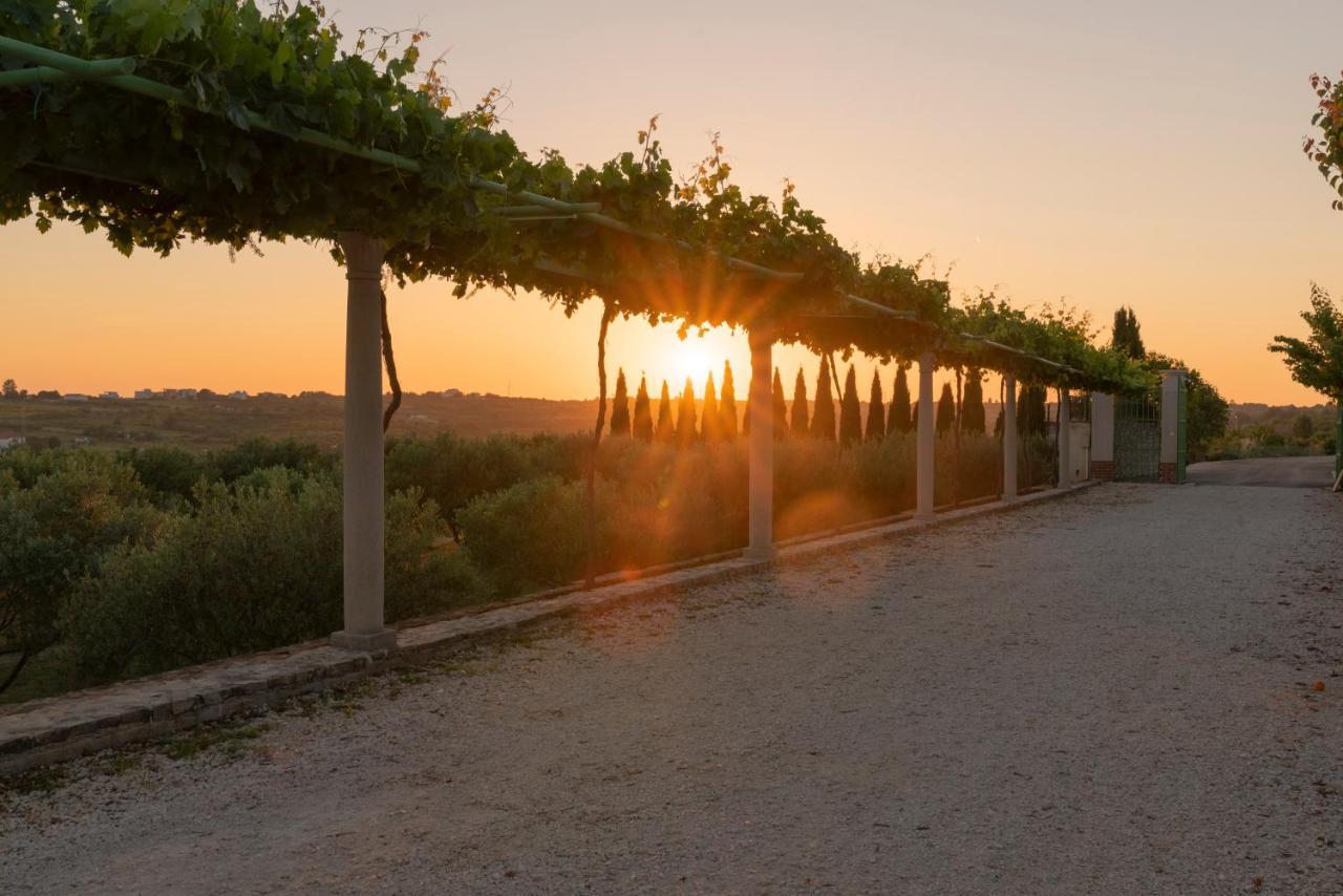 Villa Albina & Domenica Zadar Buitenkant foto